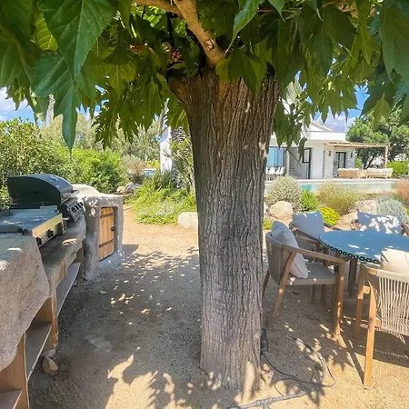 San Ciprianu Mare Di * Lecci